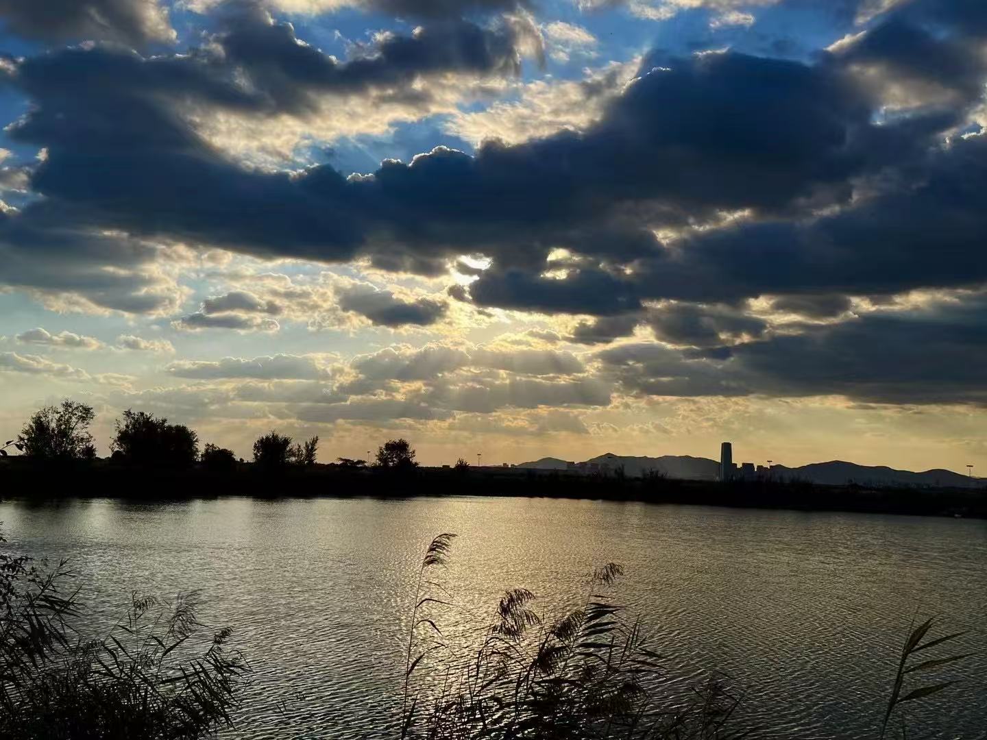 近海营地